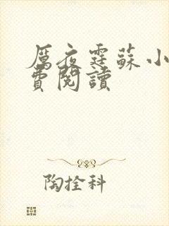 厉夜霆苏小汐免费阅读