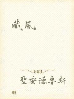 藏风封面