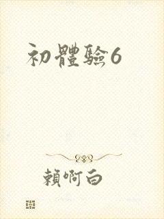 初体验6封面