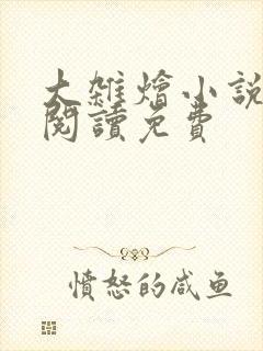 大杂烩小说全集阅读免费