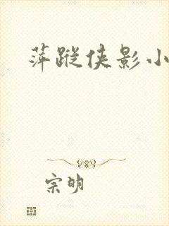 萍踪侠影小说