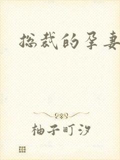 总裁的孕妻