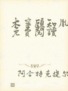 木宁顾知胤小说免费阅读