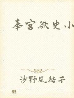 奉宫欲史小说封面