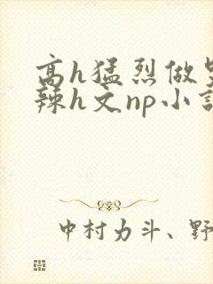 高h猛烈做哭高辣h文np小说