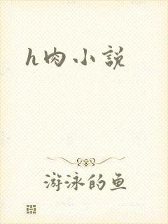h肉小说