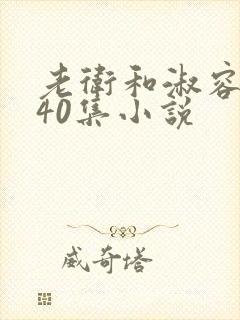 老卫和淑容1-40集小说