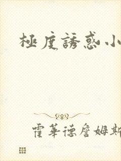 极度诱惑小说