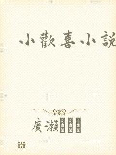 小欢喜小说