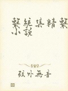 系统集精系统 小说封面
