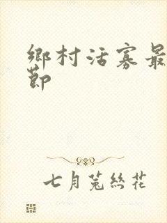 乡村活寡最新章节