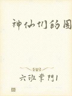 神仙们的团宠封面
