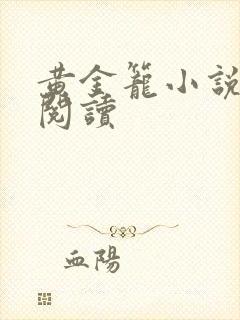 黄金笼小说免费阅读封面