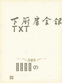 下厨房金银花露 TXT封面