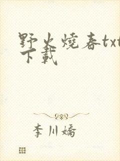 野火烧春txt下载