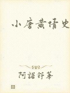 小唐黄倩史封面