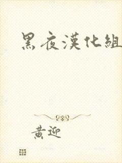 黑夜汉化组封面
