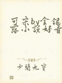 可宋by金银花露小说好看吗封面
