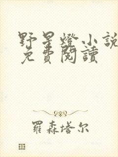 野星灯小说全文免费阅读