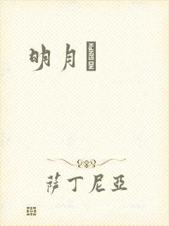 明月珰