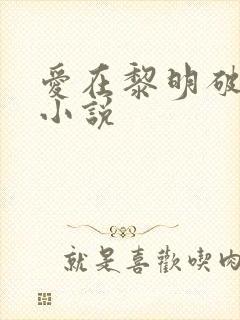 爱在黎明破晓前小说