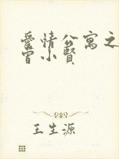 爱情公寓之极品曾小贤