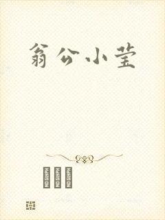 翁公小莹