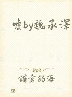 嘘by魏承泽