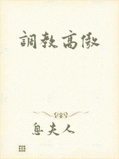 调教高傲
