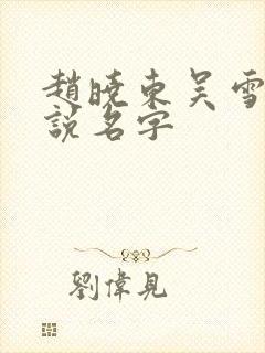 赵晓东吴雪晴小说名字