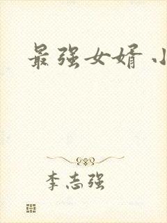 最强女婿 小说