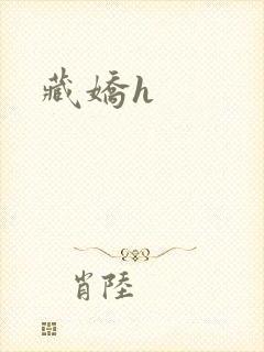 藏娇h封面