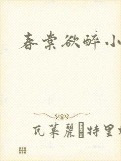 春棠欲醉小说