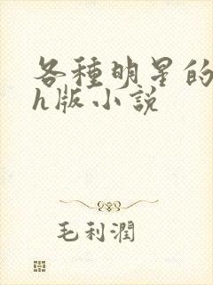 各种明星的综艺h版小说