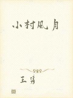 小村风月封面