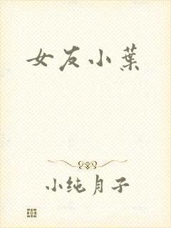 女友小叶