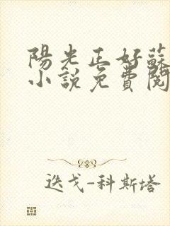 阳光正好苏玥玥小说免费阅读无弹窗