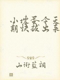 小坏蛋今天危险期快拔出来