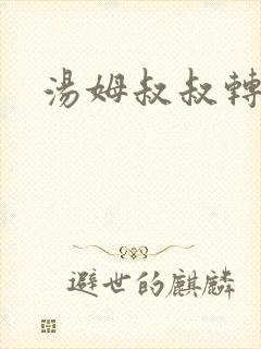 汤姆叔叔转接口
