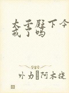 太子殿下今天破戒了吗封面