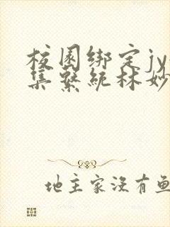 校园绑定jy收集系统林妙妙