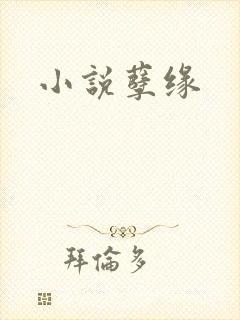 小说孽缘