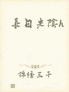 长日光阴h封面