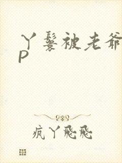 丫鬟被老爷玩NP封面