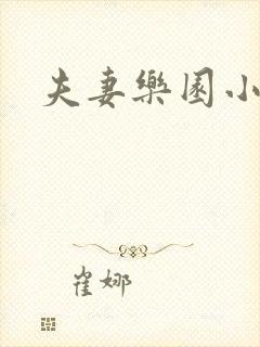 夫妻乐园小说封面