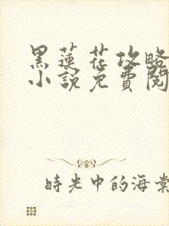 黑莲花攻略手册小说免费阅读