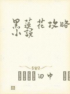 黑莲花攻略手册小说