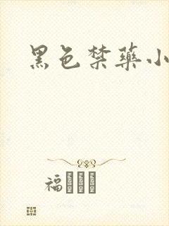 黑色禁药小说封面