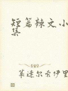短篇辣文小说合集
