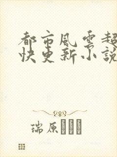 都市风云超前超快更新小说封面
